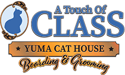 A Touch of Class, Yuma Cat House - Boarding & Grooming