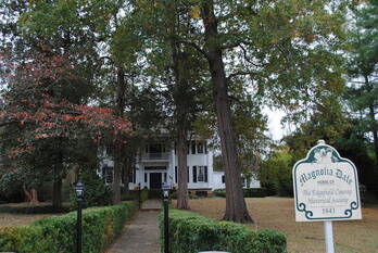 Magnolia Dale