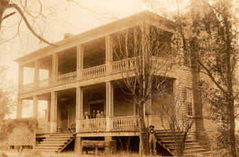 Halcyon Grove
