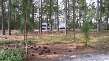 In The Pines @ Bettis