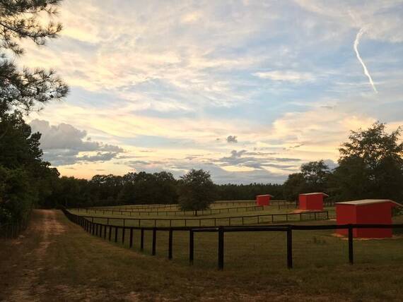 Magnolia Shadows Equestrian Resort