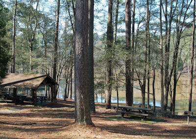 Nearby Camping & State Parks
