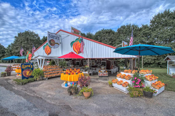 Sara's Roadside Stand
