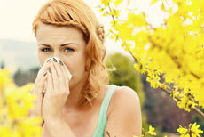 What’s the Best Line of Defense Against Allergies?