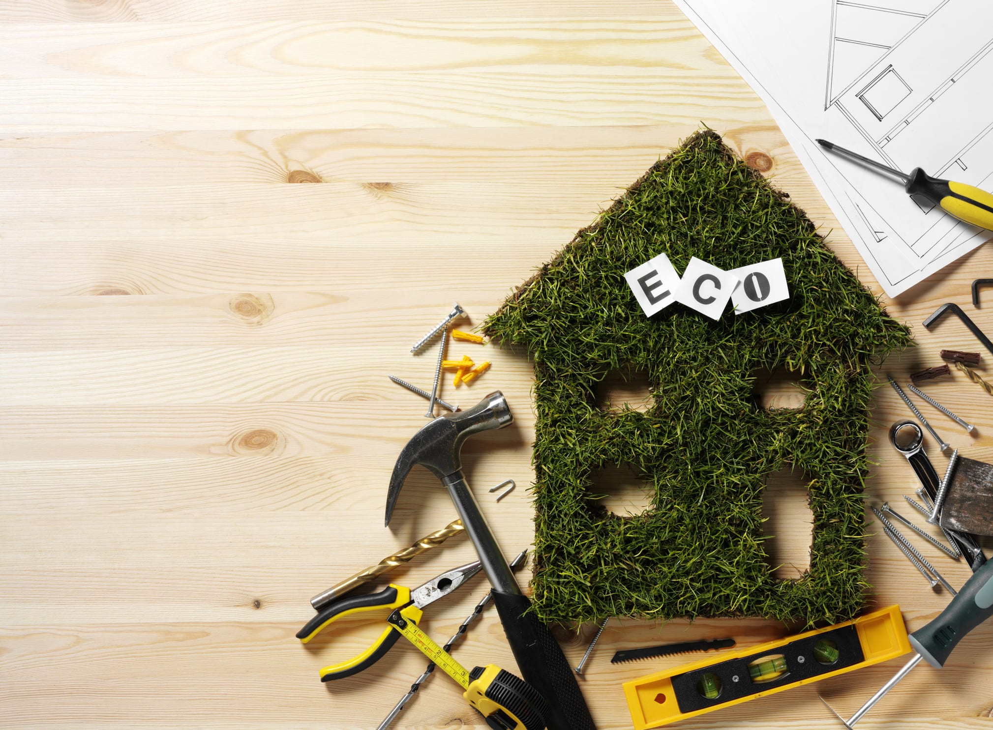 Is Your Home a Green Home? Homeowner’s Guide to Energy Saving and Environmental Care