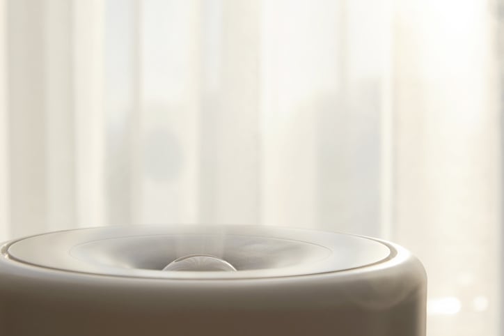 Should You Get a Humidifier for Your Home This Winter?