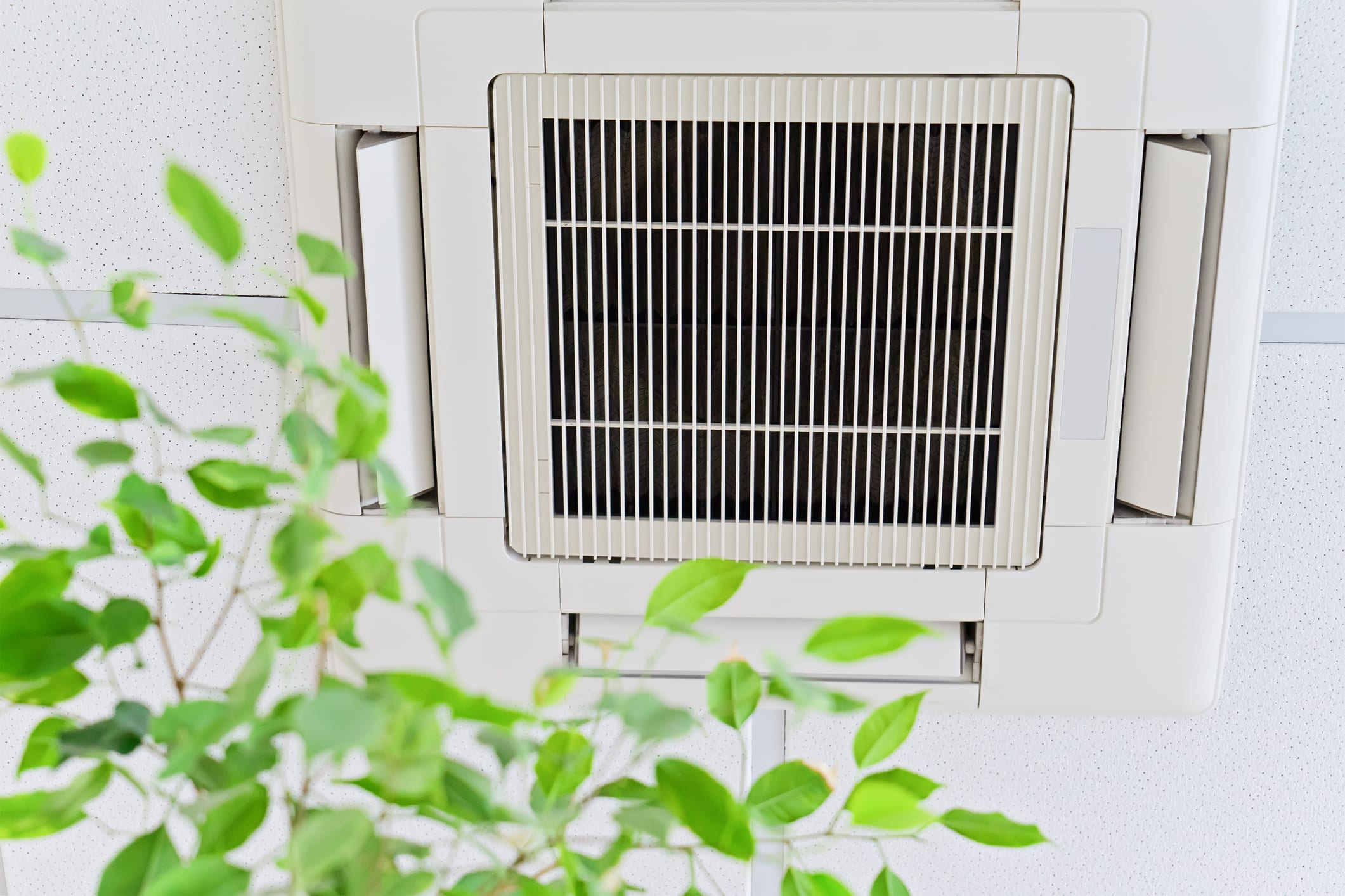 Do You Know How to Perform an Indoor Air Quality Test?