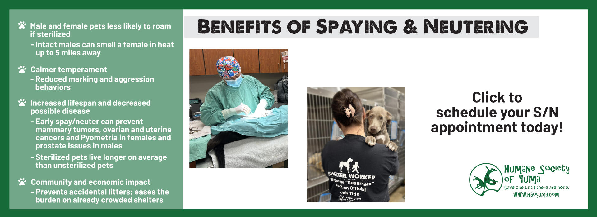 Spayneuter
