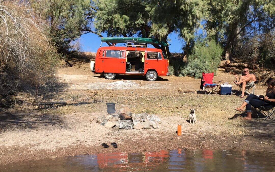 It’s a family affair: meet Daphne, the Naked Dates VW Bus