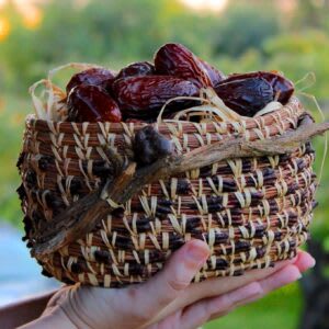 Basket Full of Organic Extra Fancy Medjool Dates