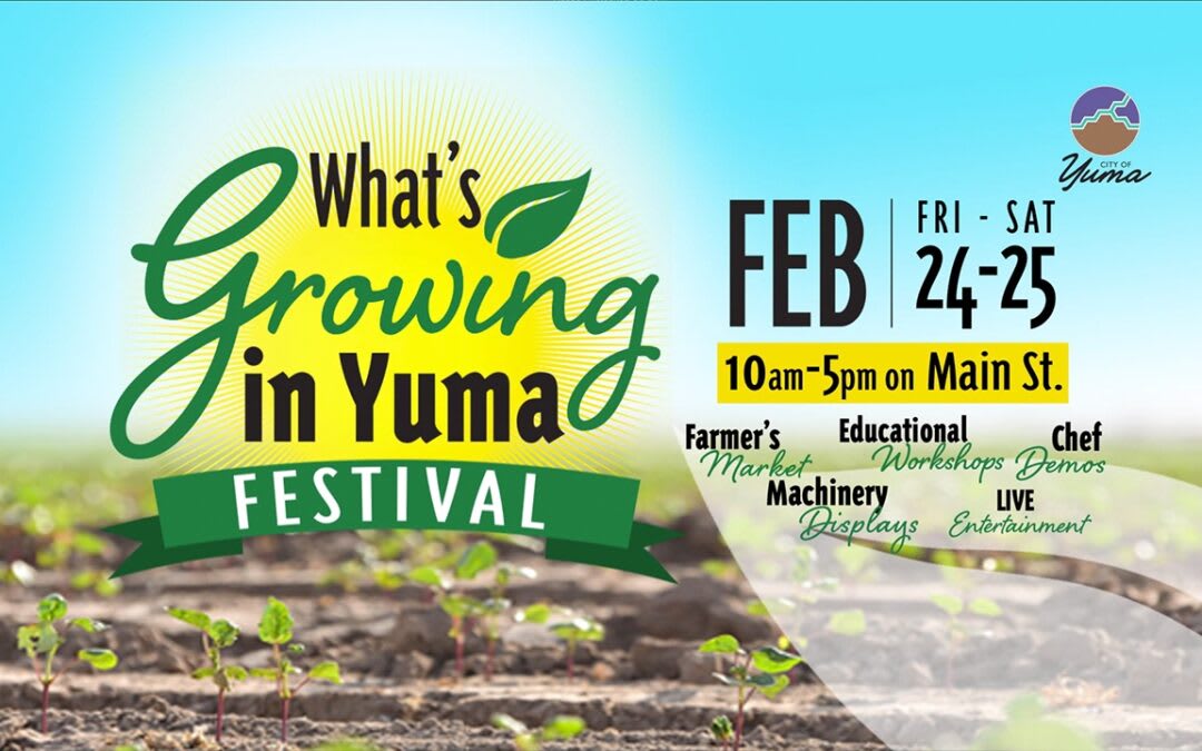 What’s Growing in Yuma?