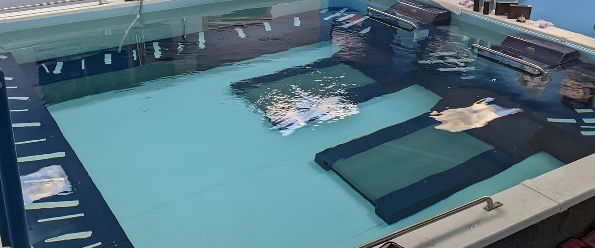 Our therapy pool featuring in-pool treadmills