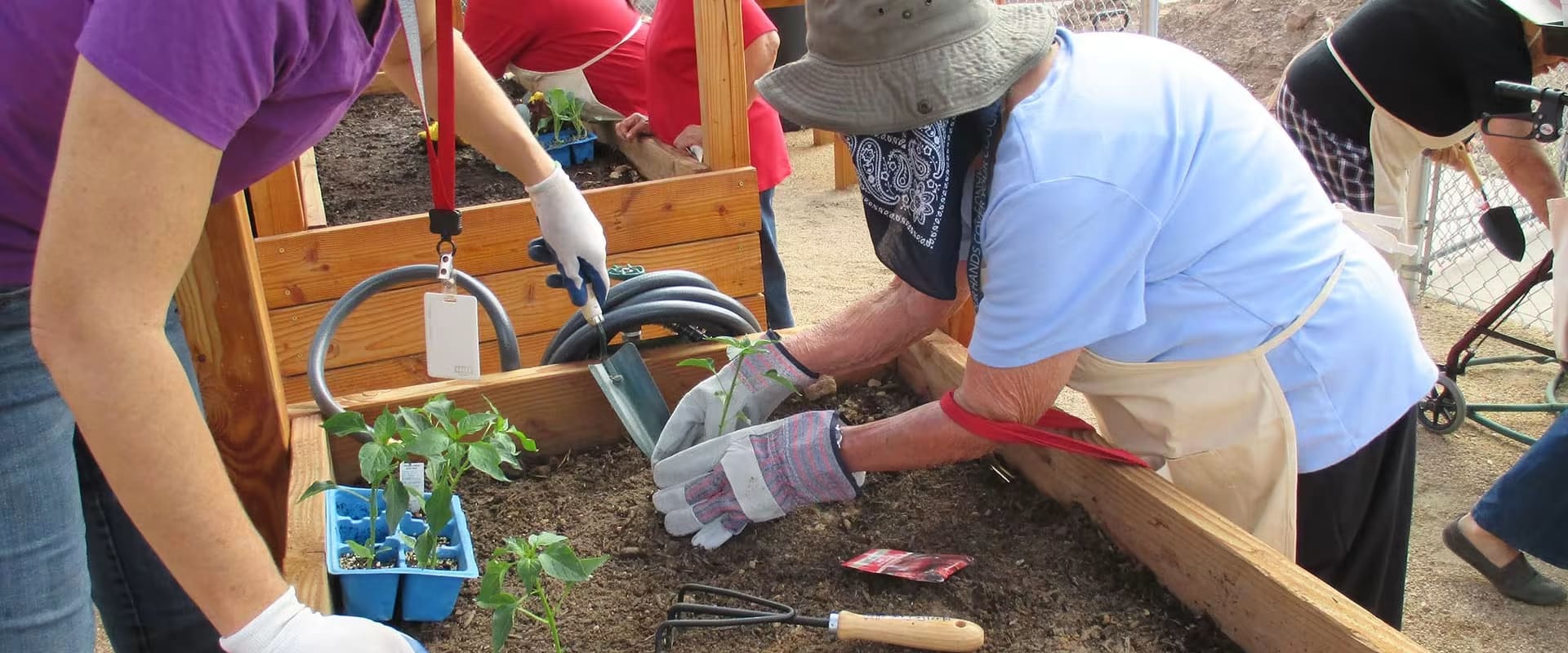 Older woman is helping lay plants into a soil bed with the help of an employee.